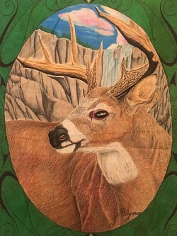 White Tail in Front of Waterfall